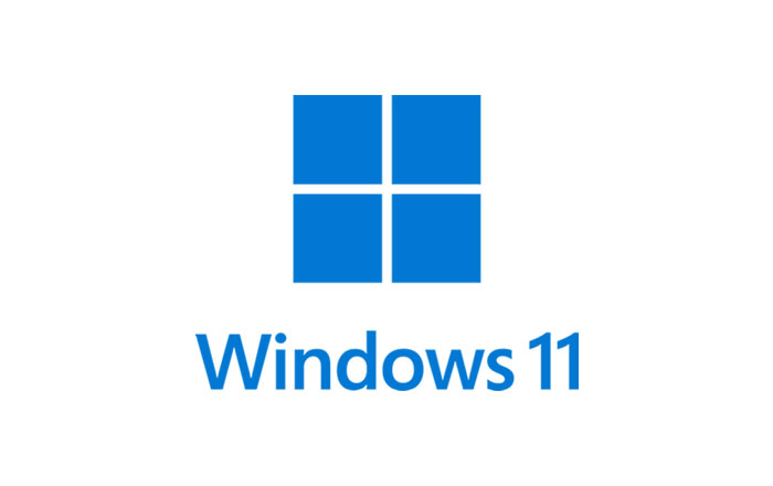 Windows 10 Pro Logo Image
